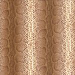 AFRICAN QUEEN 423129