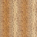 AFRICAN QUEEN 423136