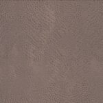 AFRICAN QUEEN 423631