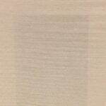 MORITZ (PATISSERIE CREAM) / ARTE VIII (8) - AVANTI COL: PUMPKIN