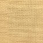 MORITZ (PATISSERIE CREAM) / ARTE X (10) - BRAGG COL: CODY-5