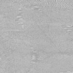 CONNOISSEUR - MN1121