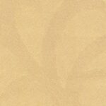 CONNOISSEUR - MN1125