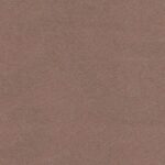 CONNOISSEUR - MN1128