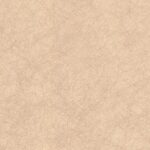 CONNOISSEUR - CN1141