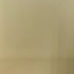 AVILA CARNATION COL: ECRU