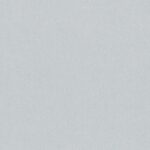 D&D COLLECTION 2020/21 65421-5