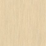 IN THE WOODS / PERFECTO IV - 781472