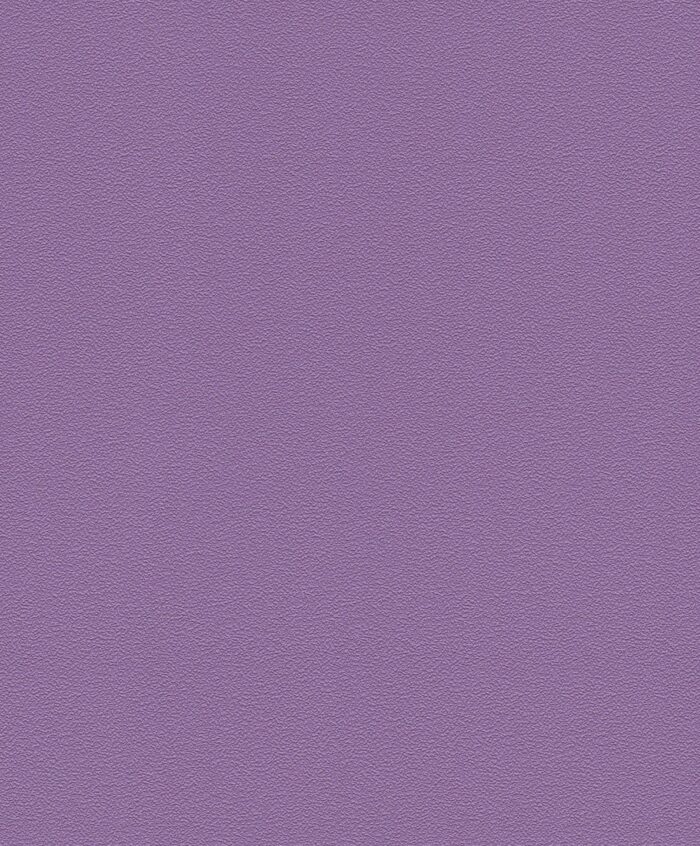 KT 740301 Wallpaper Carpets Distributors