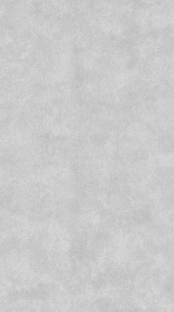 NTR ZR10705 Wallpaper Carpets Distributors