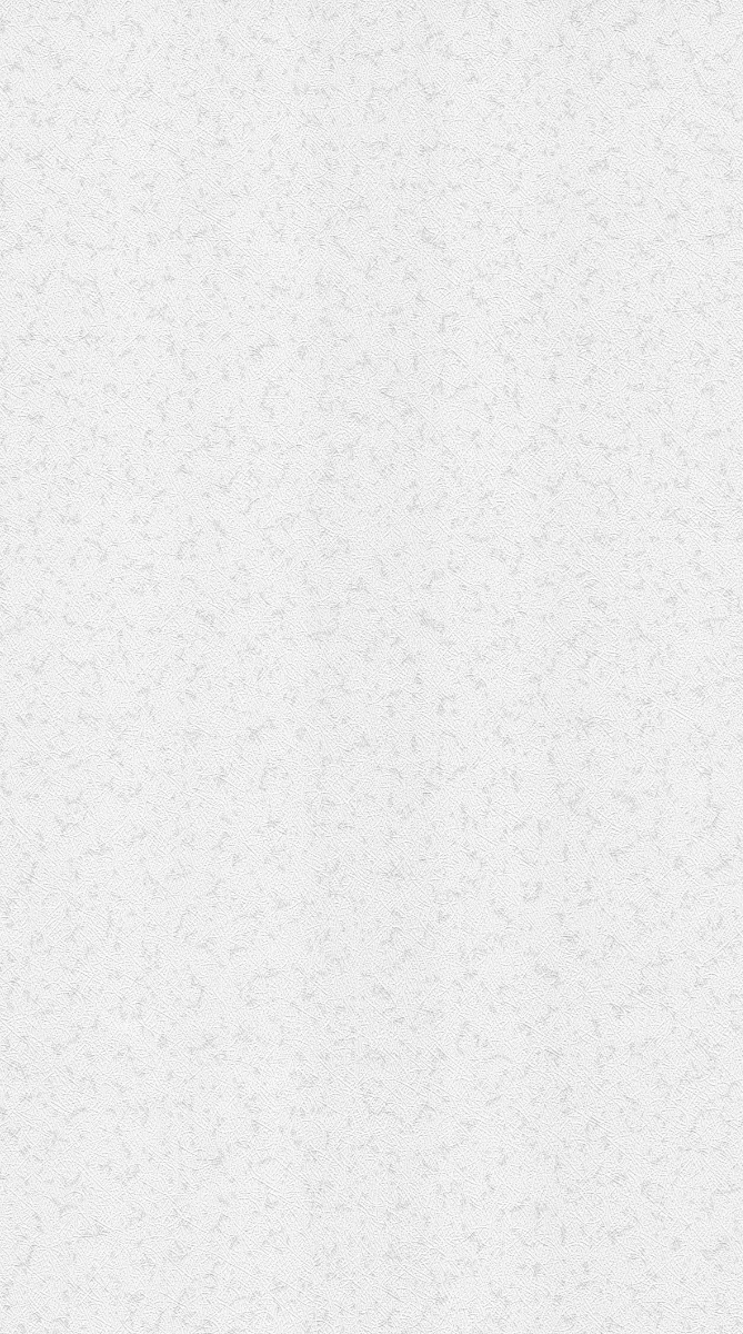 NTR ZR10801 Wallpaper Carpets Distributors
