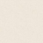 STELLA II  - 10173-2