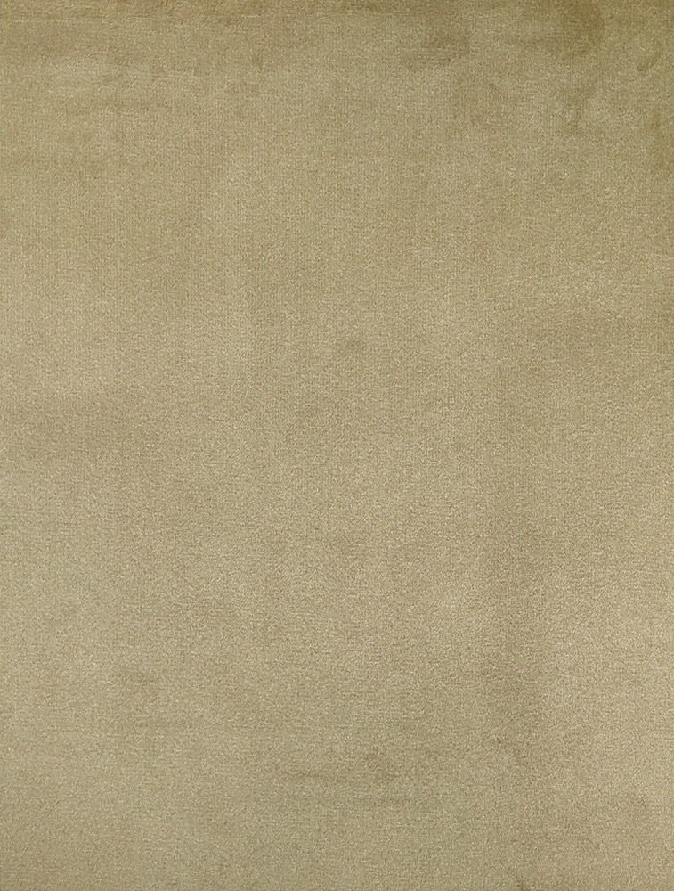 Velour 07 Wallpaper Carpets Distributors