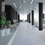 EVP001-08 Royal Snow