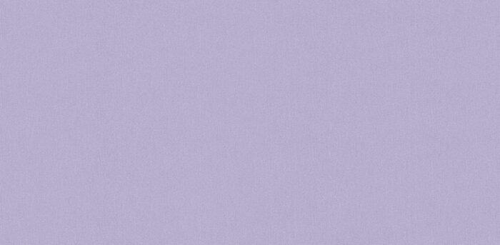 STEPS 10261 4 Wallpaper Carpets Distributors