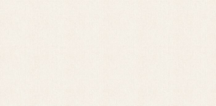 STEPS 10264 1 Wallpaper Carpets Distributors