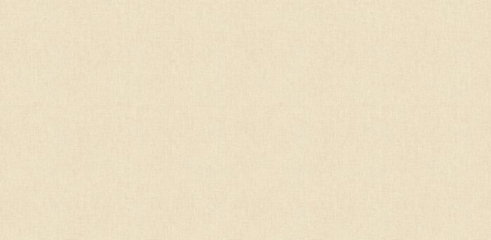 STEPS 10264 2 Wallpaper Carpets Distributors