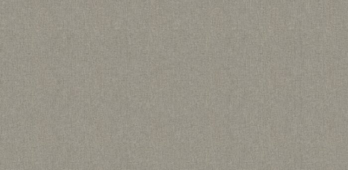 STEPS 10264 5 Wallpaper Carpets Distributors