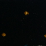 Suheyla Shirin Navy Mosque Carpet