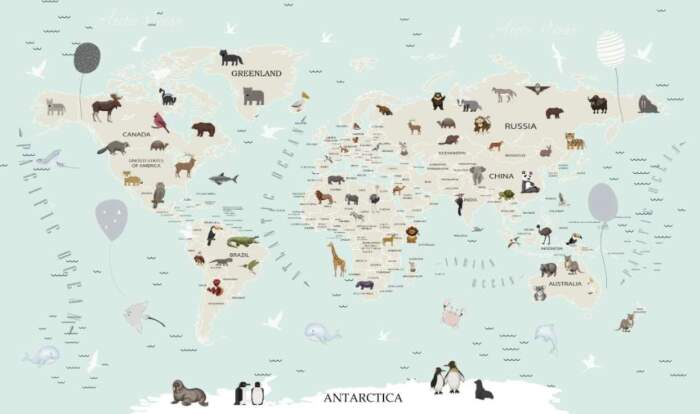 Animals20World20Map20For20Kids20Wallpaper20Design20182491194jpg Wallpaper Carpets Distributors
