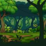 Dark Rainforest WIth Trees Background 141676581