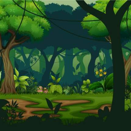 Dark20Rainforest20WIth20Trees20Background20141676581.jpg Dark20Rainforest20WIth20Trees20Background20141676581.jpg