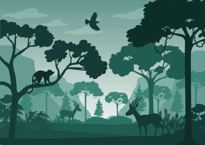 Silhouette20Forest20Green20Deer20Bird20Monkey20Landscape20Vector20Background20Illustration20176224478jpg Wallpaper Carpets Distributors