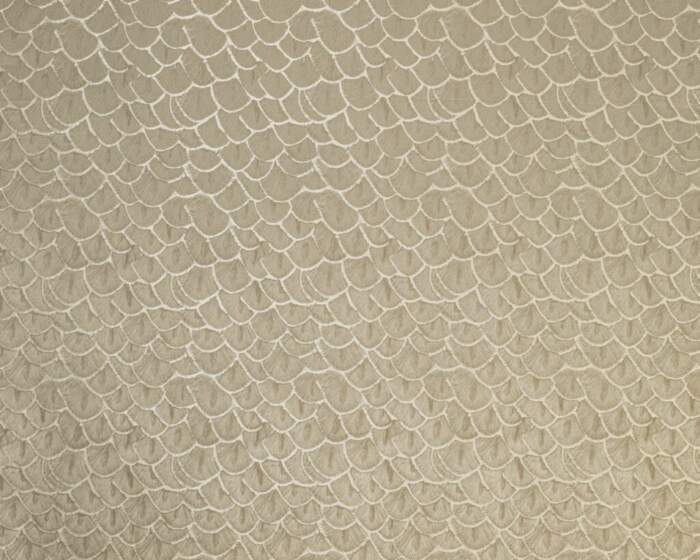 AMIDA FAWNjpg Wallpaper Carpets Distributors