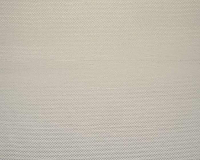 BRACT-SCALLOP.jpg BRACT SCALLOP - Image 1