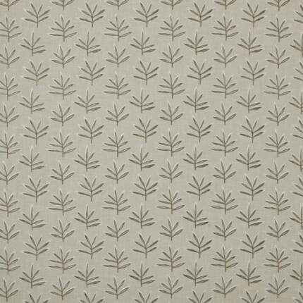 MARTHA-FERN.jpg MARTHA-FERN.jpg