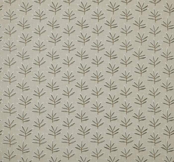MARTHA-FERN.jpg MARTHA-FERN.jpg