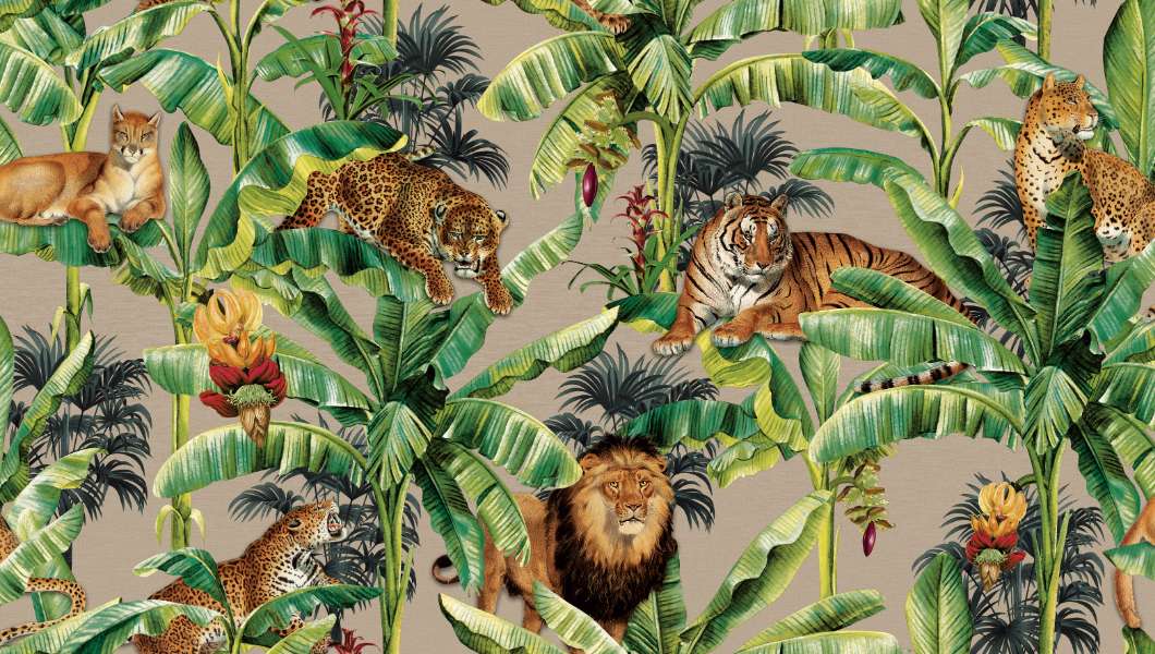M G 2 7723 2jpg Wallpaper Carpets Distributors