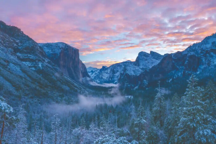 DAWN-SPELL-8801-90 DAWN SPELL 8801-90 - Image 2