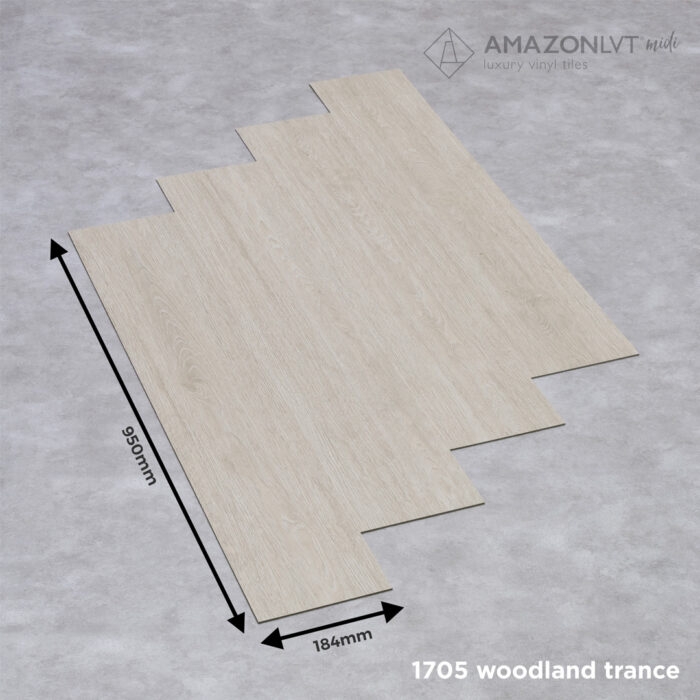 1705-woodland-trance-5 1705-woodland-trance-5