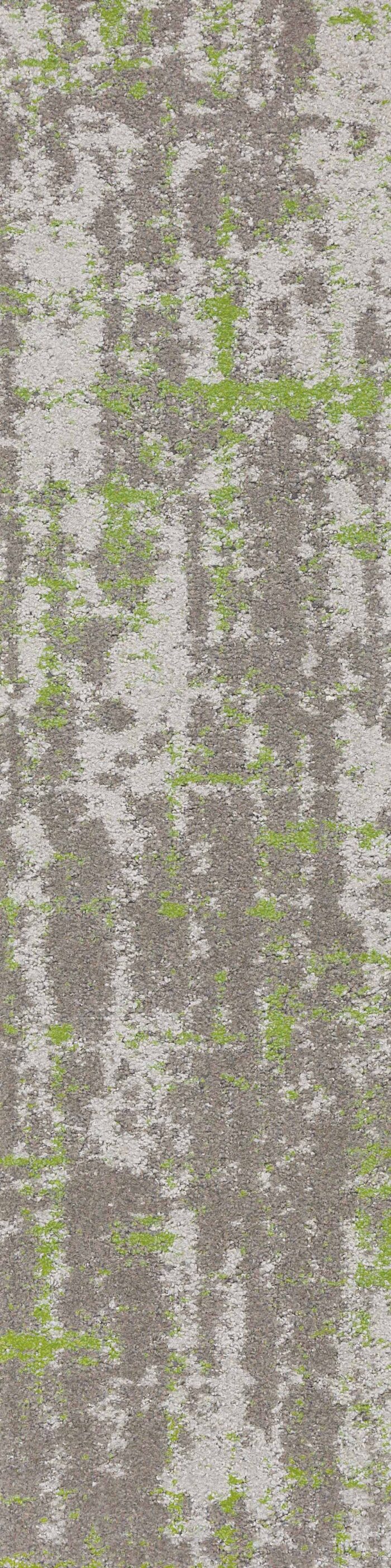 SAMX01-morph-green-max-8 SAMX01-morph-green-max-8