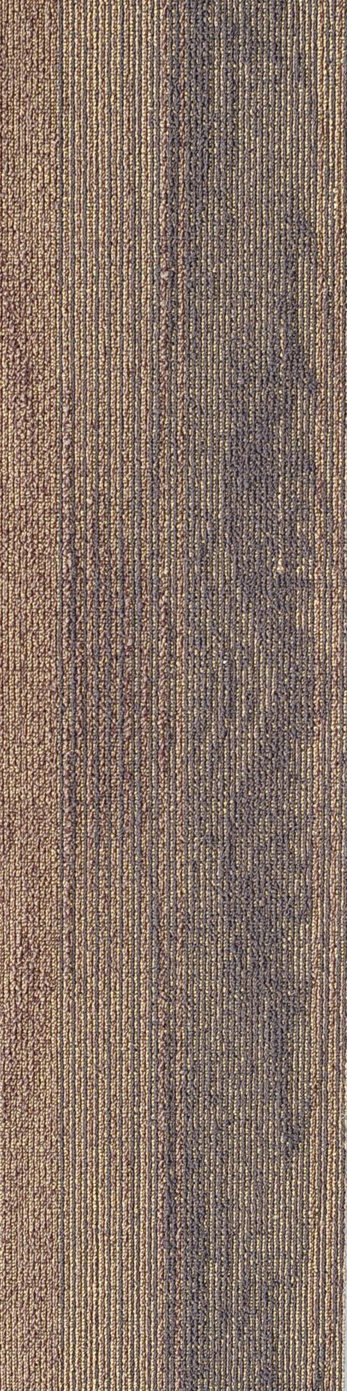 AMZ Signature Classic Sdcp05 Coppice Brown - Wallpaper & Carpets ...