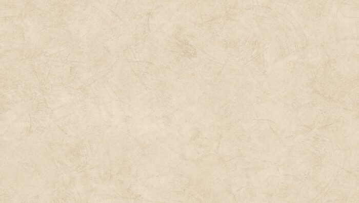 GN FESTA 81340 5 Wallpaper Carpets Distributors