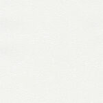 PROJECTS UNLIMITED 70283-1